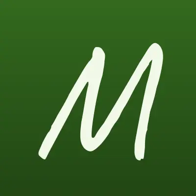 Мушка и прозрачное миди